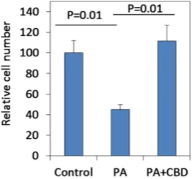 Figure 5. CBD antagonizes the cytotoxic effects of PA on microglia cells. BV-2 microglia cells were incubated in the absence or presence of 75 μM PA alone or together with 5 μg/ml CBD for 24 hrs