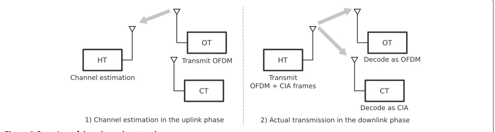 Figure 3 Overview of the adopted protocol.