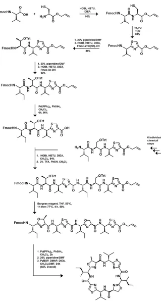 Figure 1.8: Chemical Synthesis of Patellamides. 18 step total chemical synthesis of Patellamide A as 
