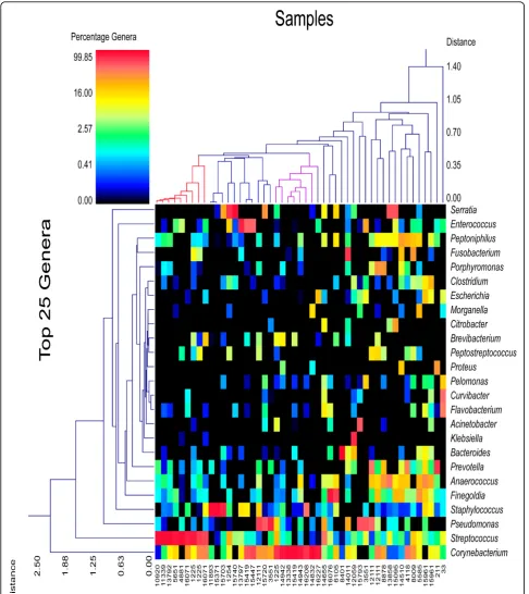 Figure 1 Double dendogram of major genera in decubitus ulcers. Describes major genera detected among the 49 samples