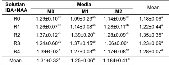 Table 3. Effect of combination concentration solution IBA and NAA and media on amount of root