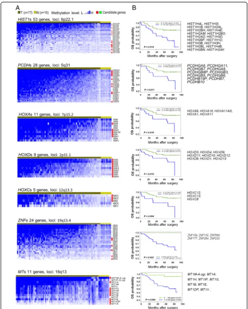 Figure 2 Gene clusters hypermethylated in breast cancer and associated with poor survival