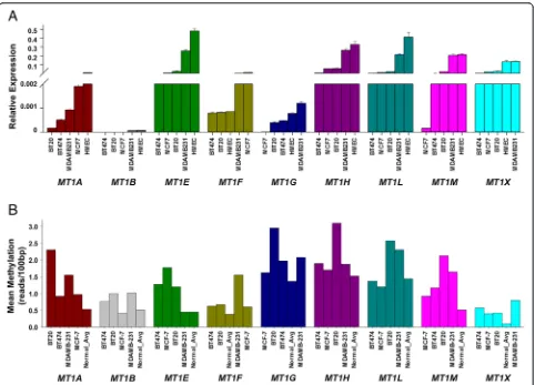 Figure 4 DNA methylation is associated with poor survival in MT1 gene cluster regardless of ERα status of patients
