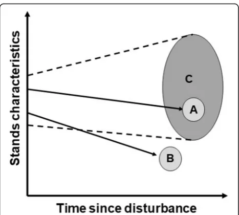 Fig. 5 Representations of different forest stands with various trajectoriesfollowing forest harvesting