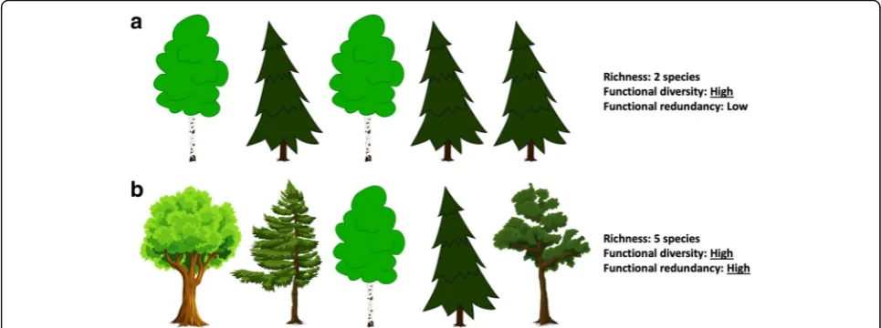 Fig. 1 Diagram illustrating in a simplified way the notions of functional diversity and redundancy within two stands.functional diversity because it is composed of five different species, two gymnosperms and three angiosperms with relatively similar traits