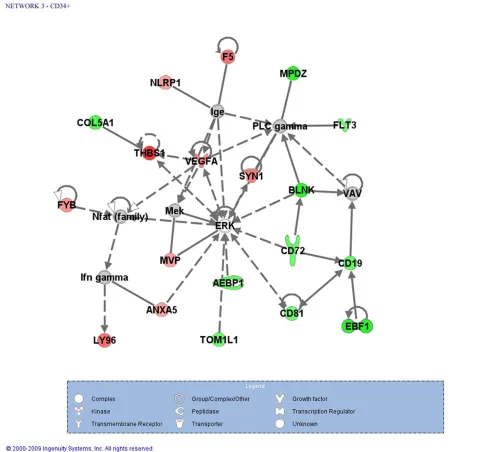 Figure 2 Significantly enriched gene network of protein-coding genes with altered expression in CD34in our experiment and white genes were either not detected as expressed in these cells or not present in our oligoarray platform