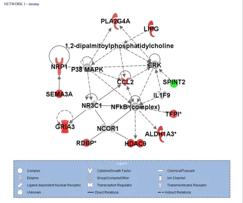 Figure 5 Most enriched gene network of protein-coding genes with altered expression in stromal cells