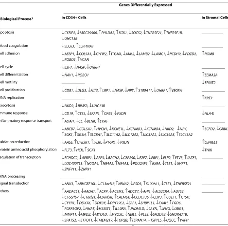 Table 4: Biological processes of genes differentially expressed in CD34+ and stromal cells from MDS-RARS patients.