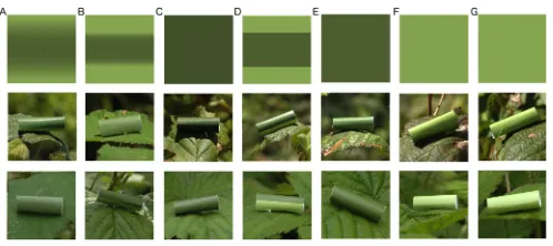 Fig. 1. Top row: Plan view of the experimental treatments (surface reflectance of 