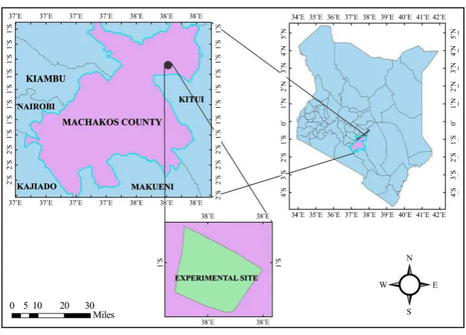 Figure 2. Kitui county experimental plot. 