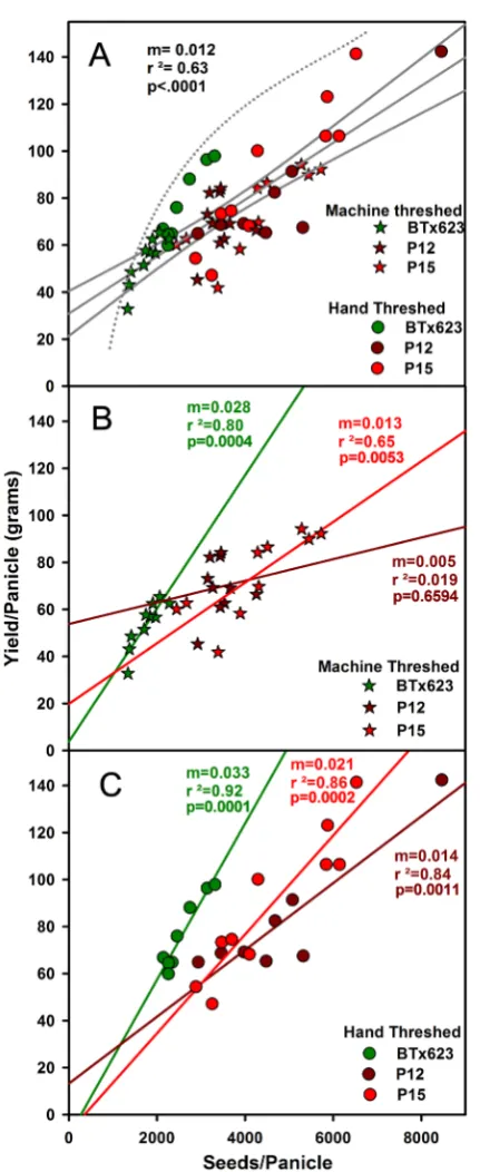 Figure 3. Regression analysis of individual panicle yield (mass) as a function of numbers of seeds per panicle