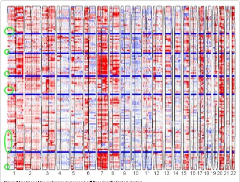 Table 4: Number of tumor patients in each of the five CRC subtypes and the cell lines selected to represent each subtype.