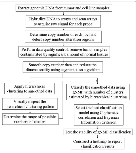Figure 1 Workflow of the genomics-based tumor classification procedure.