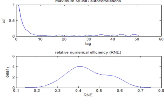 Figure 4. MCMC Autocorrelations and RNE 