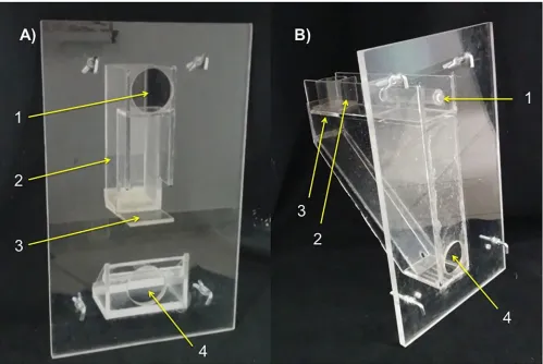 Fig 1. Left: A) Ball-apparatus 1) Insertion hole 2) vertical tube shaft 3) position of food reward on collapsible platform 4) reward opening