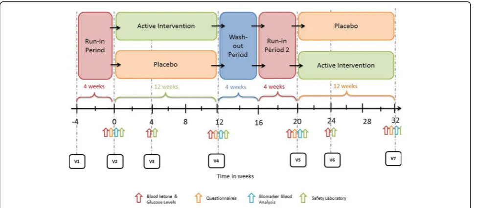 Fig. 1 Flowchart of study design, including timing of measurements and procedures. V = visit