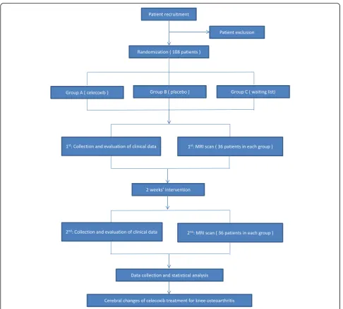 Fig. 1 Flowchart of the trial. Abbreviation: MRI magnetic resonance imaging