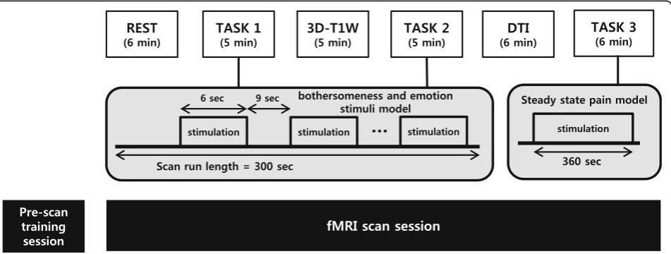 Fig. 3 Functional magnetic resonance imaging experiment paradigm (REST steady-state resting run; TASK 1/2 block design bothersomeness andemotion stimulus run; 3D-T1W structural image acquisition using 3-dimensional T1-weighted turbo field echo; DTI diffusion tensor imaging; TASK 3low-back-extension pain-model steady-state run)