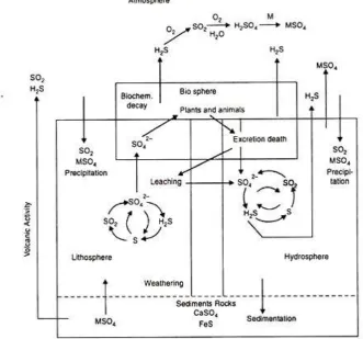 Fig. 1.  Formation of sulphuric acid present in acid rain 