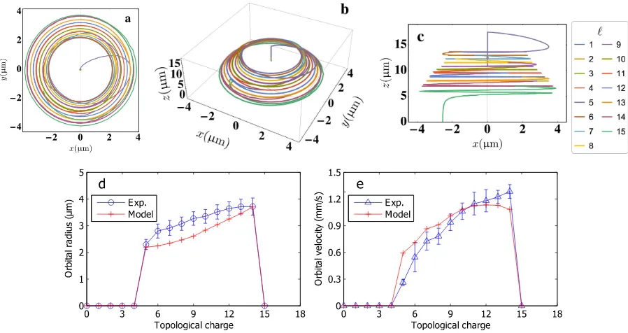 FIG. 4. Comparison between numerical simulations and experimental observations. (a-c) Numerical simulations of particletrajectories for diﬀerent topological charges, ℓ