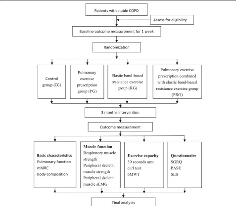 Fig. 2 Study flow chart. 6MWT 6-min walking test, CG control group, COPD chronic obstructive pulmonary disease, mMRC Modified Medical ResearchCouncil Dyspnea Scale, PASE Physical Activity Scale for the Elderly, PG pulmonary exercise group, PRG pulmonary ex