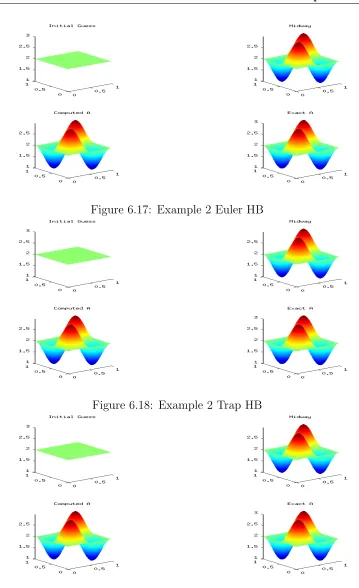 Figure 6.17: Example 2 Euler HB