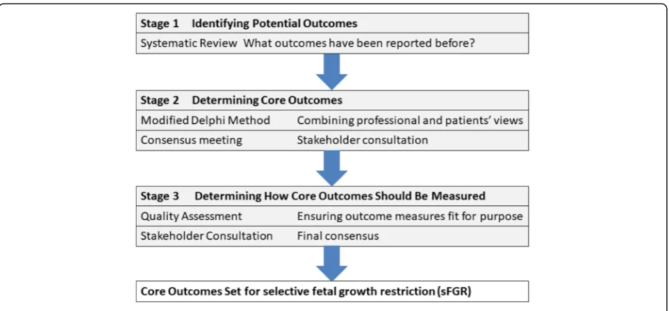Fig. 1 The stages of developing a core outcome set for selective fetal growth restriction