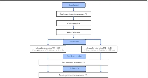 Fig. 1 Consolidated Standards of Reporting Trials (CONSORT) study flow diagram.Therapy, TRT Tinnitus Retraining Therapy, CBT Cognitive Behavioural EMDR Eye Movement Desensitization Reprocessing