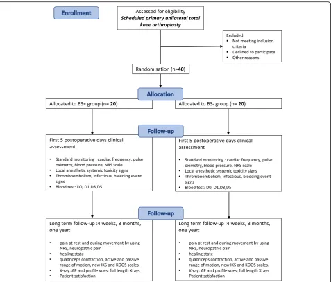 Fig. 2 Overview of study protocol. BS+ group group with sciatic nerve block (single shot) and continuous femoral nerve block, BS– group groupwith only continuous femoral nerve block