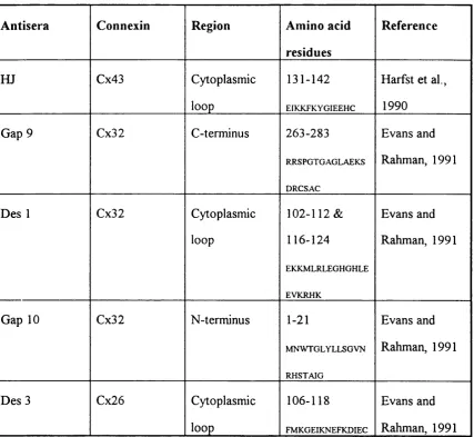 Table 2.1. Summary of site specific antisera to the three main connexins