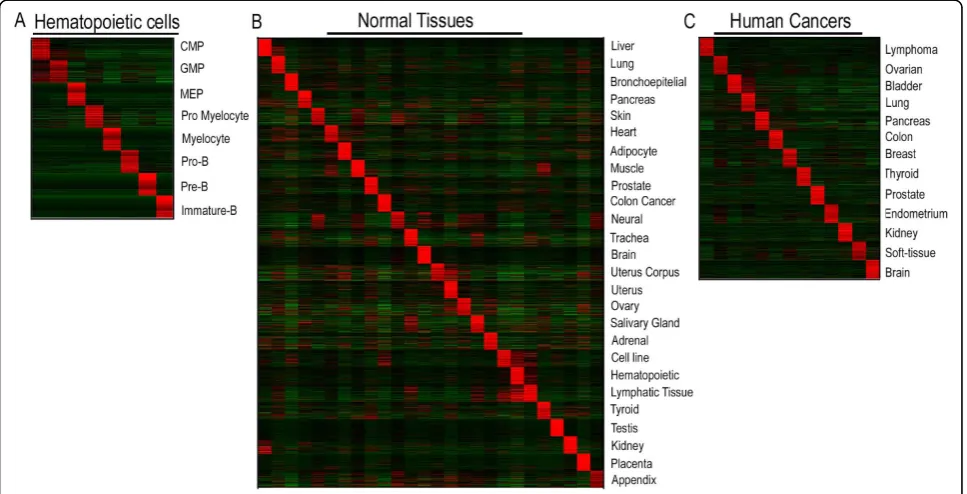 Figure 1 Heat map of the top 100 upregulated genes from each gene set used in the GSEA analyses