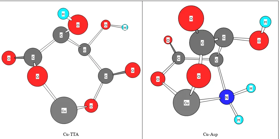 Figure 3. Schematic structures of the species with interactions according to equilibrium (5) for Cu(Asp)