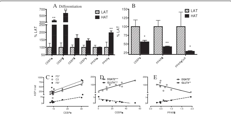 Figure 5 Expression of CEBPs and PPARs in LAT vs HAT. Gene expression of differentiation related gene families, CEBPs and PPARs (A and B)in SC adipose tissue from LAT (hatched bars) and HAT (solid bars) as assessed by microarray where LAT expression is set