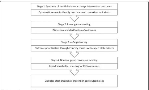 Fig. 1 Core set of outcomes development overview for COS-DAP project
