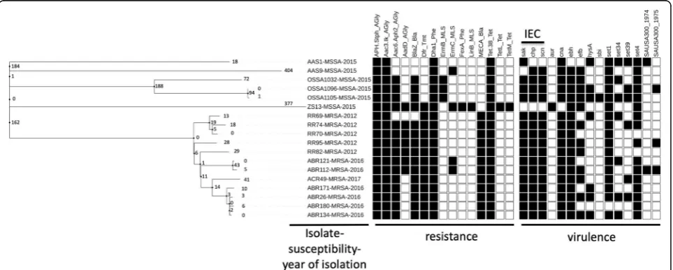 Fig. 1 a Maximum likelihood phylogenetic analysis of 18 ST398 Staphylococcus aureus isolates from Taiwan based on single nucleotidepolymorphisms in the core genomes