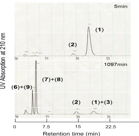 Fig. 1: Predicted mechanism of the epimerization and ring-opening reactions of cyclic-(Ala-Ala) 
