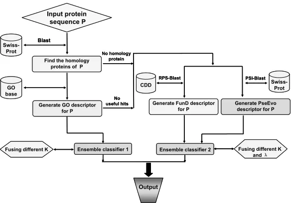 Figure 1. A flowchart to show the prediction process of the predictors in Cell-PLoc 2.0, where ensemble classifier 1 is for processing the GO descriptor samples, while ensemble classifier 2 is for the FunD (functional domain) and PseEvo (pseudo sequen-tial