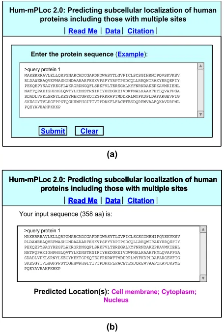 Figure 5. A semi-screenshot to show the input in the FASTA format for (a) the query protein 1 taken from the Example window, and (b) the output predicted by Hum-mPLoc 2.0 for the query protein sequence in panel (a)