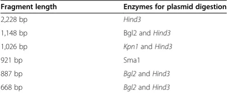 Table 1 Enzymes for digestion of SIRT1promoter truncations