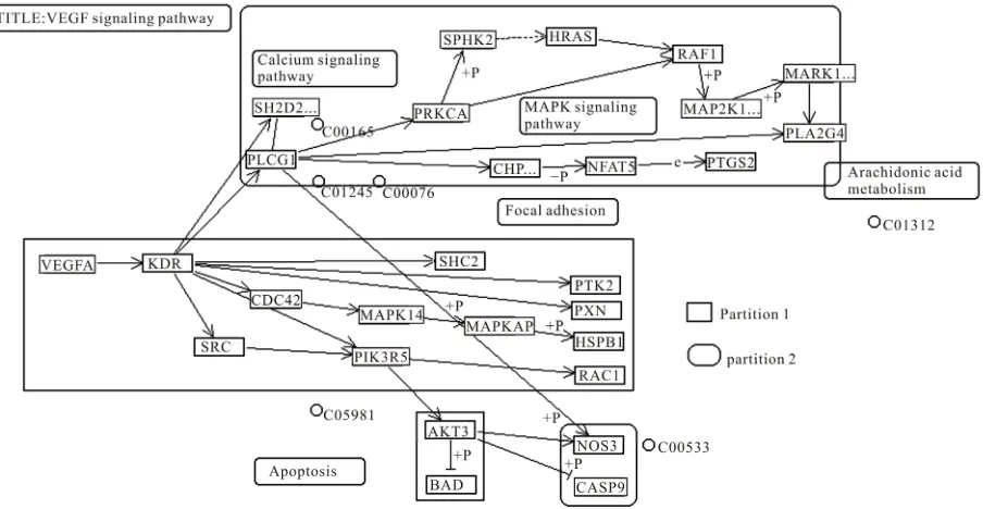Table 7. Created modules and nodes for VEGF signaling pathway of seven species for c = 1