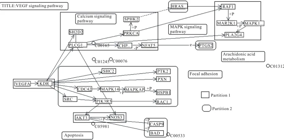 Figure 3. Modules of human VEGF signaling pathway created by Newman’s algorithm.  