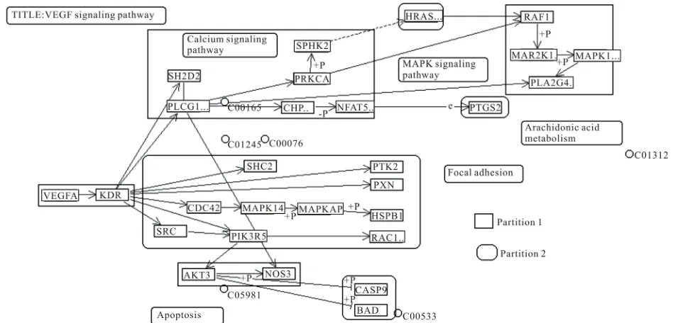 Figure 5. Modules created by Greedy algorithm of H. sapiens VEGF signaling pathway. 
