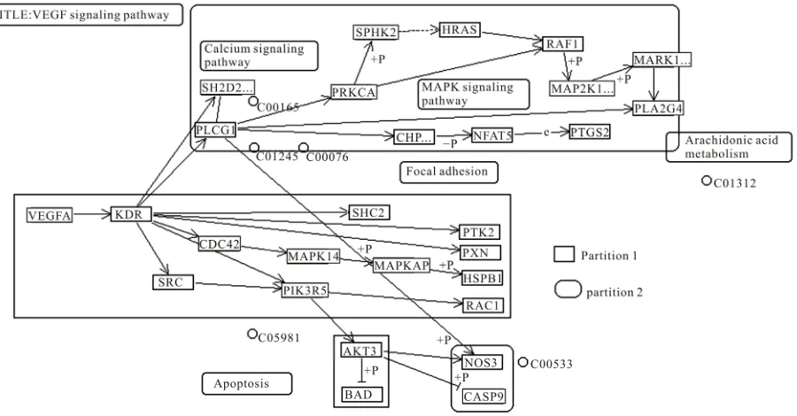 Figure 6. Modules created by combined Kernighan-Lin’s and Farhat’s algorithms for H. sapiens VEGF signaling pathway