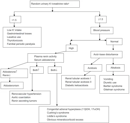 Figure 2 Algorithma used in the evaluation of neonatal hypokalemia.Note: ammol/L K+/mmol/L creatinine.