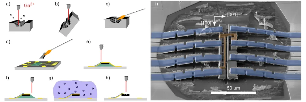 FIG. 1. Focused ion beam process for free-standing microstructures: [(a)–(h)] Cartoon of the process to extract a lamella from the bulk crystal and create a free standingmicrostructure as explained in the text
