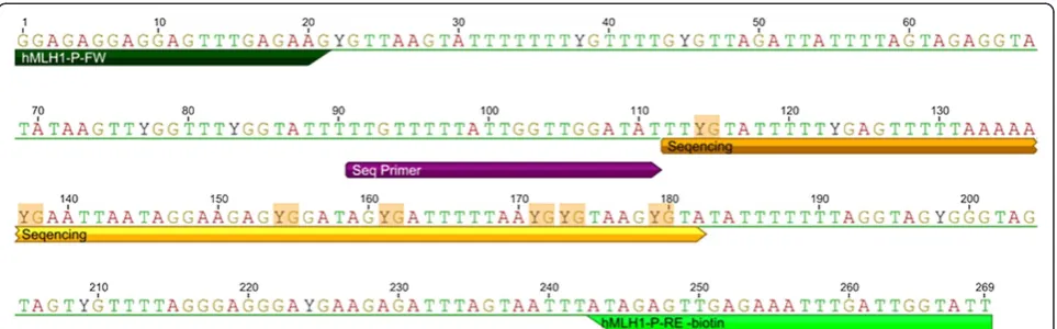 Figure 1 MLH1 Region 1 sequence and primers. MLH1 region 1: Bisulfite-converted MLH1 promoter 50-30sequence and primers used forpyrosequencing