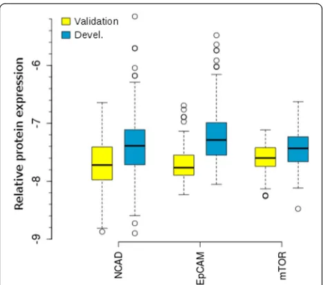Fig. 2 Expression values for NEAT molecular features. Proteinconcentration values determined by RPPA for validation (yellow) anddevelopment (blue) cohorts are shown for all samples (log2), includingmultiple datapoints per tumour