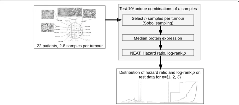 Fig. 4 Overall approach for investigation of the effect of subsampling on NEAT predictive performance