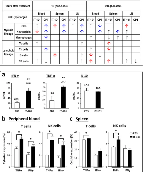 Table 2 Summary for innate and adaptive immune responses after IT-101 and CPT treatment