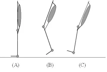 Figure 5: Muscle Shape Transition During Motion 